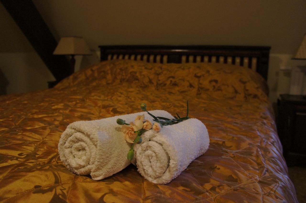 Hotel Dworska Elektrownia Kędzierzyn-Koźle Esterno foto